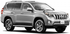 Toyota Land Cruiser Prado in Roatan