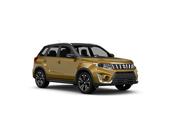 Suzuki Vitara in Rodney Bay